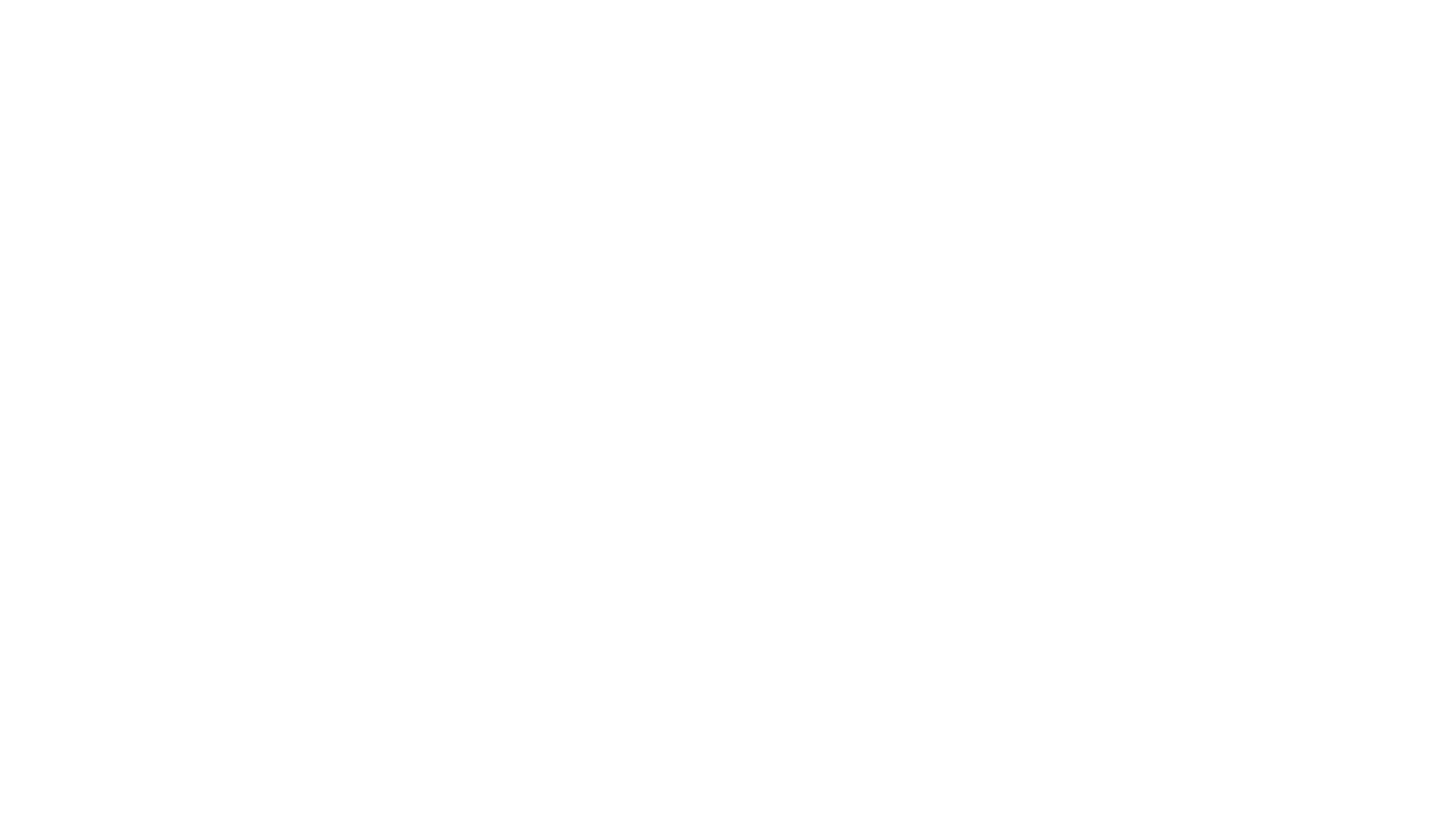 Pigeon People